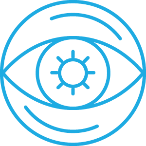 Our Vision